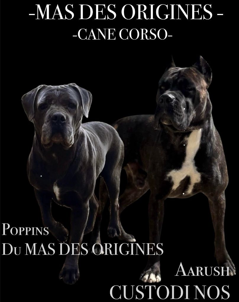 Naissance prévue pour octobre 2025!