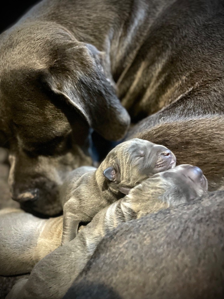 Des petits nez à croquer sont arrivés cette nuit!